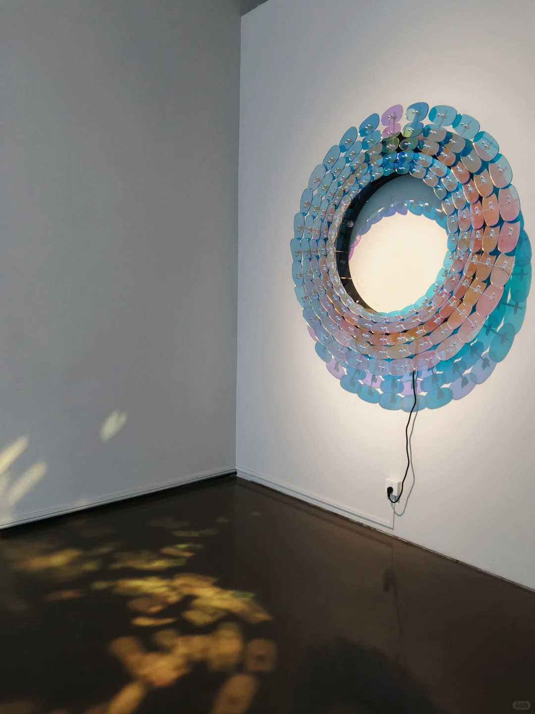 上海免费新展|必须打开live模式的宝藏展览