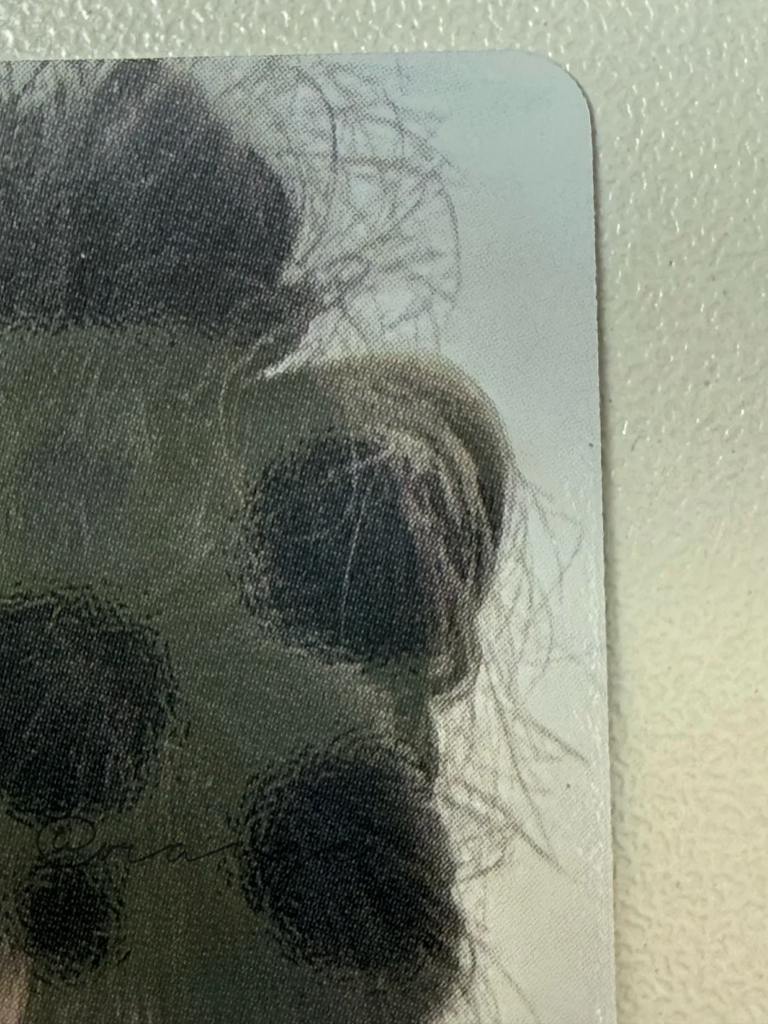 台北展会贤鉴别帖