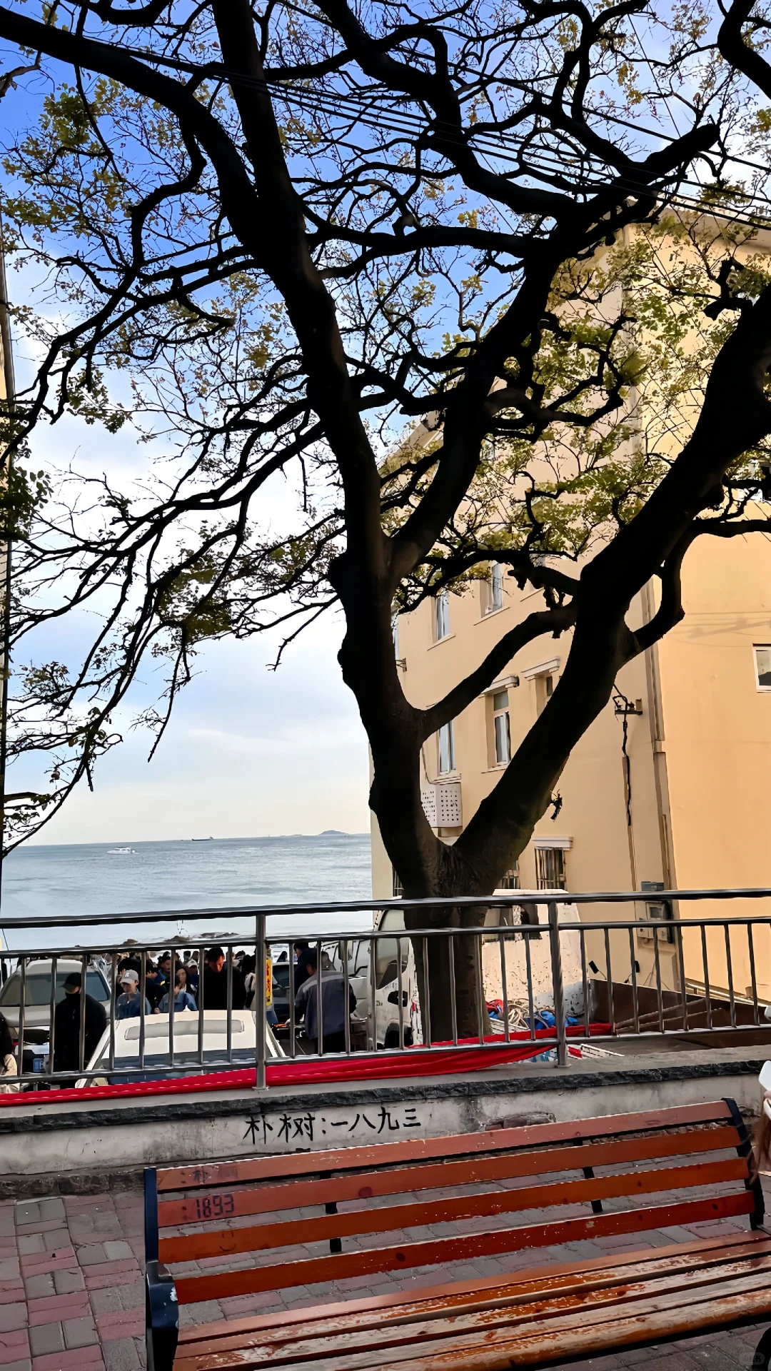 青岛穿搭合集来啦！?