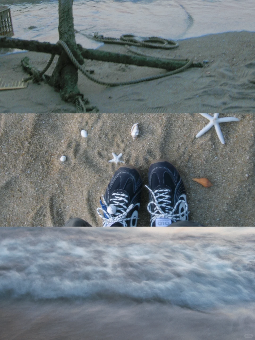 ? ⋆?.˚ ??? ????????