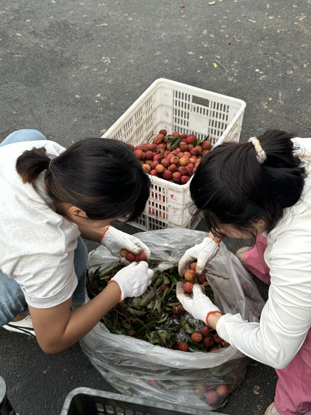 做团购的忙碌日常…