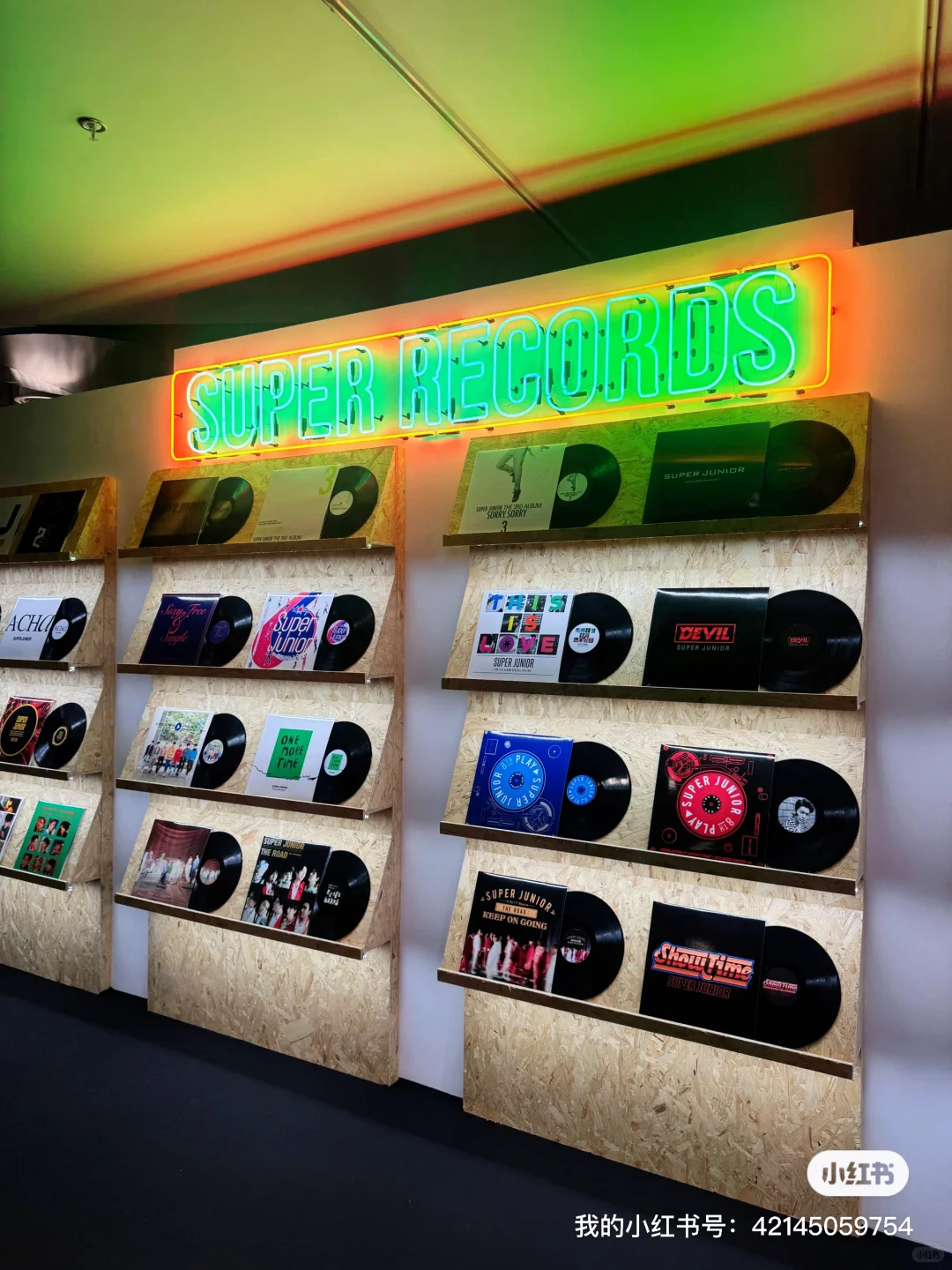 好玩好拍又好玩的SJ二十周年展?