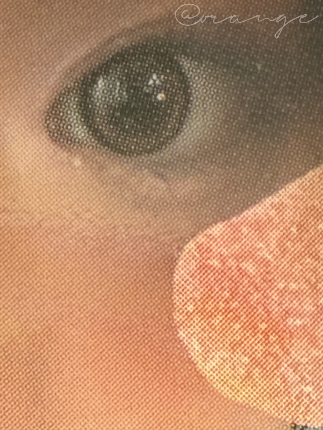 台北展会贤鉴别帖