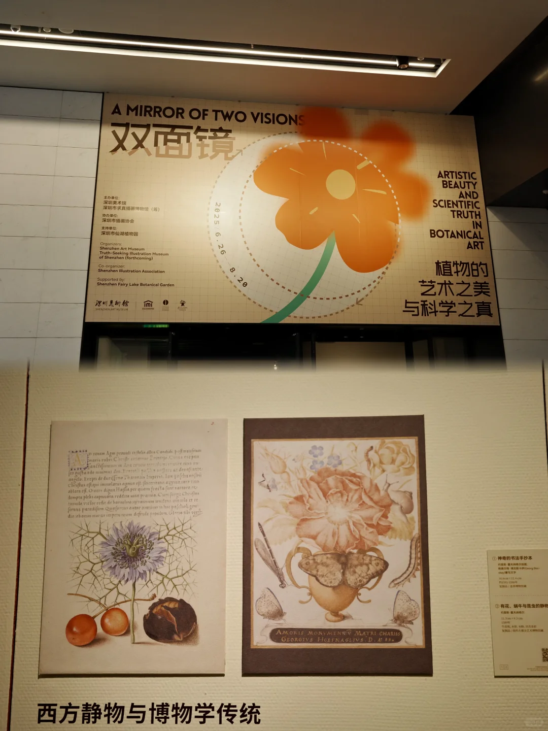 如果你有幸，找到一个人跟你一起看展。