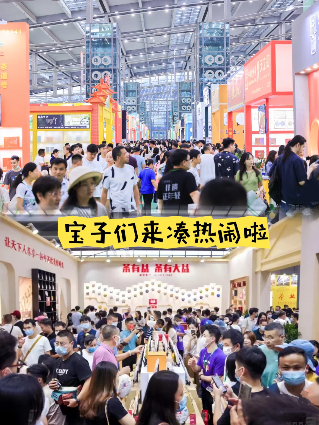 沈阳茶友速进！免费领票逛超牛茶博会