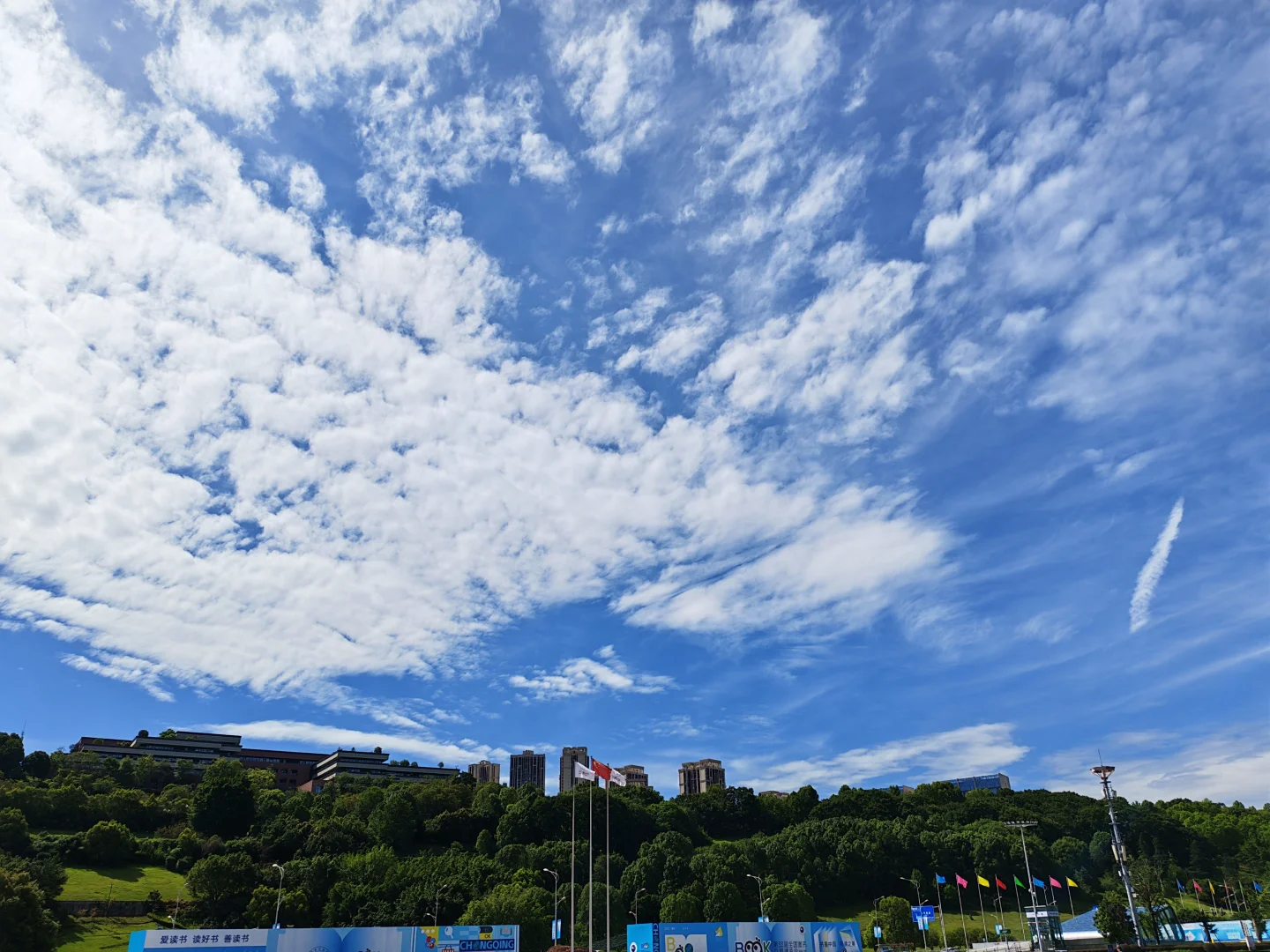 暑假重庆溜娃好去处，书博会！