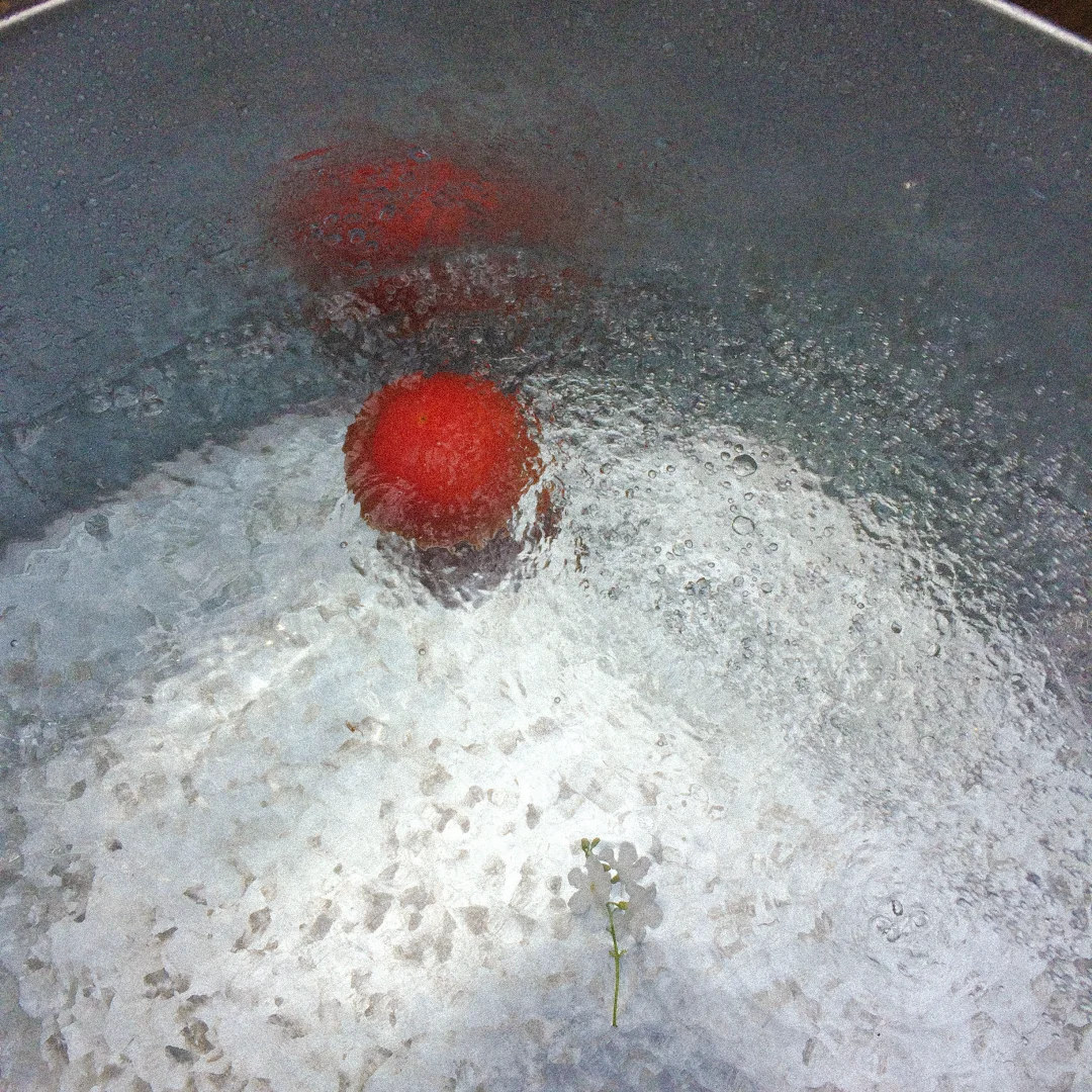 夏日◡̈ ᑋᵉᑊᑊᵒ