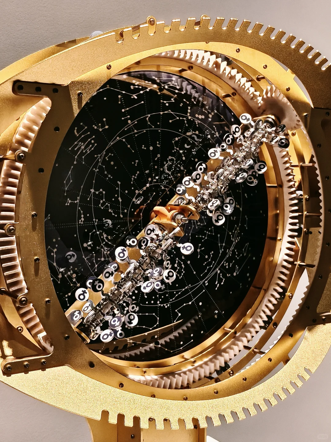 上海免费新展|必须打开live模式的宝藏展览