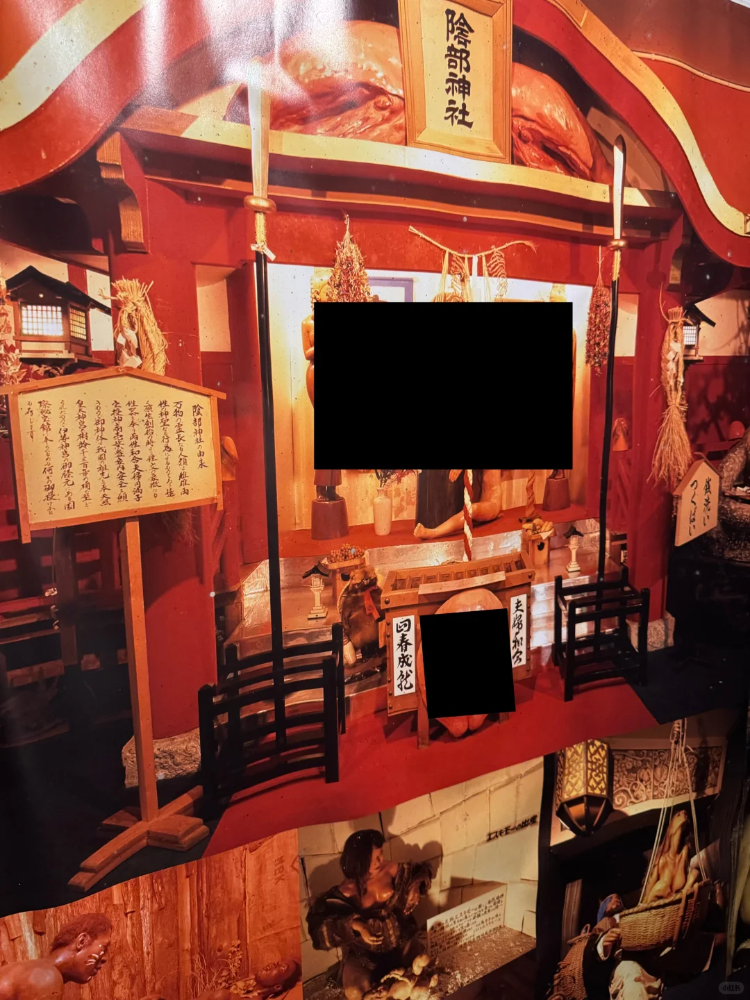 伊豆猎奇博览会系列?