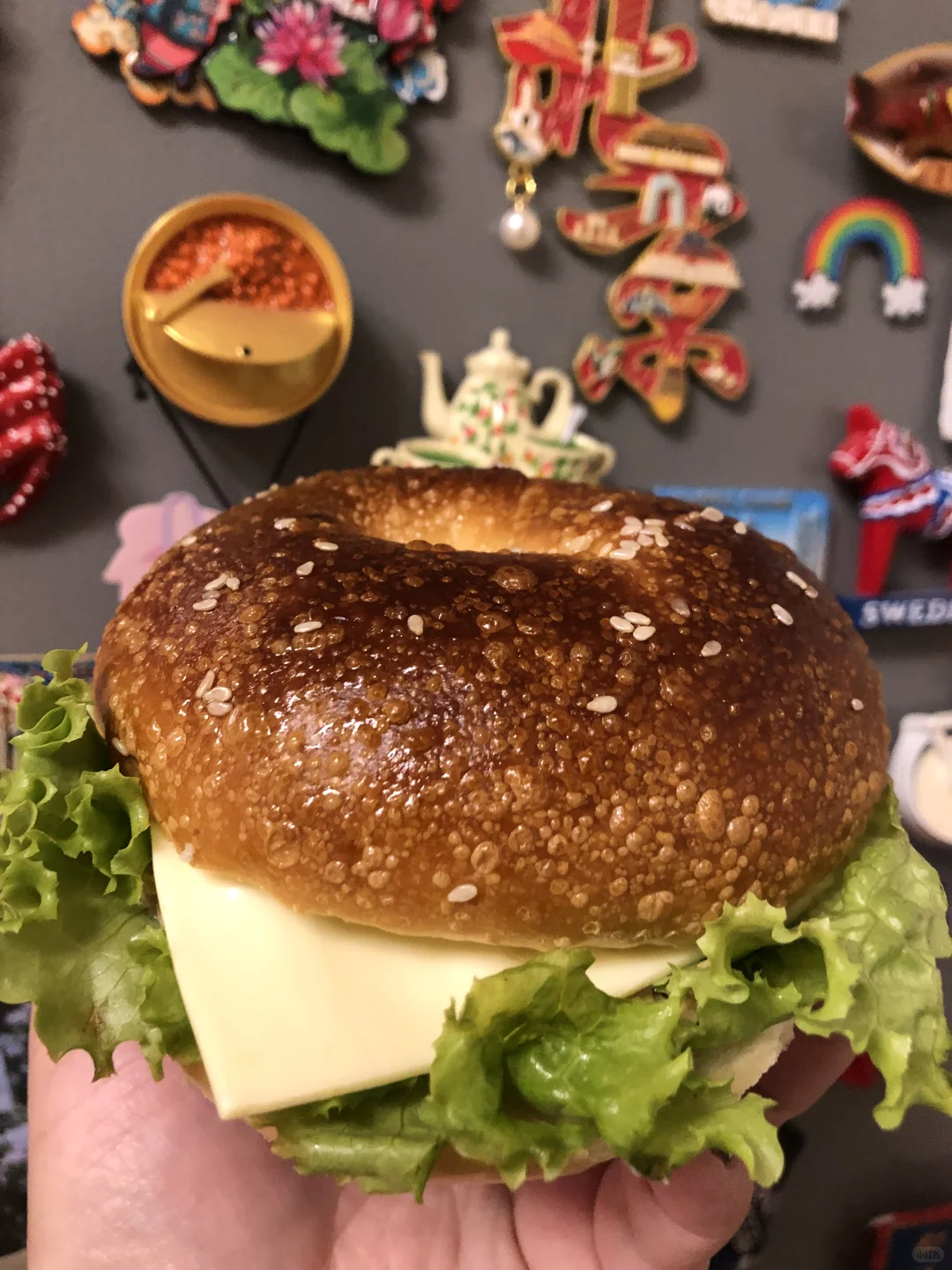 都市心语?毛毛虫?金枪鱼贝果?