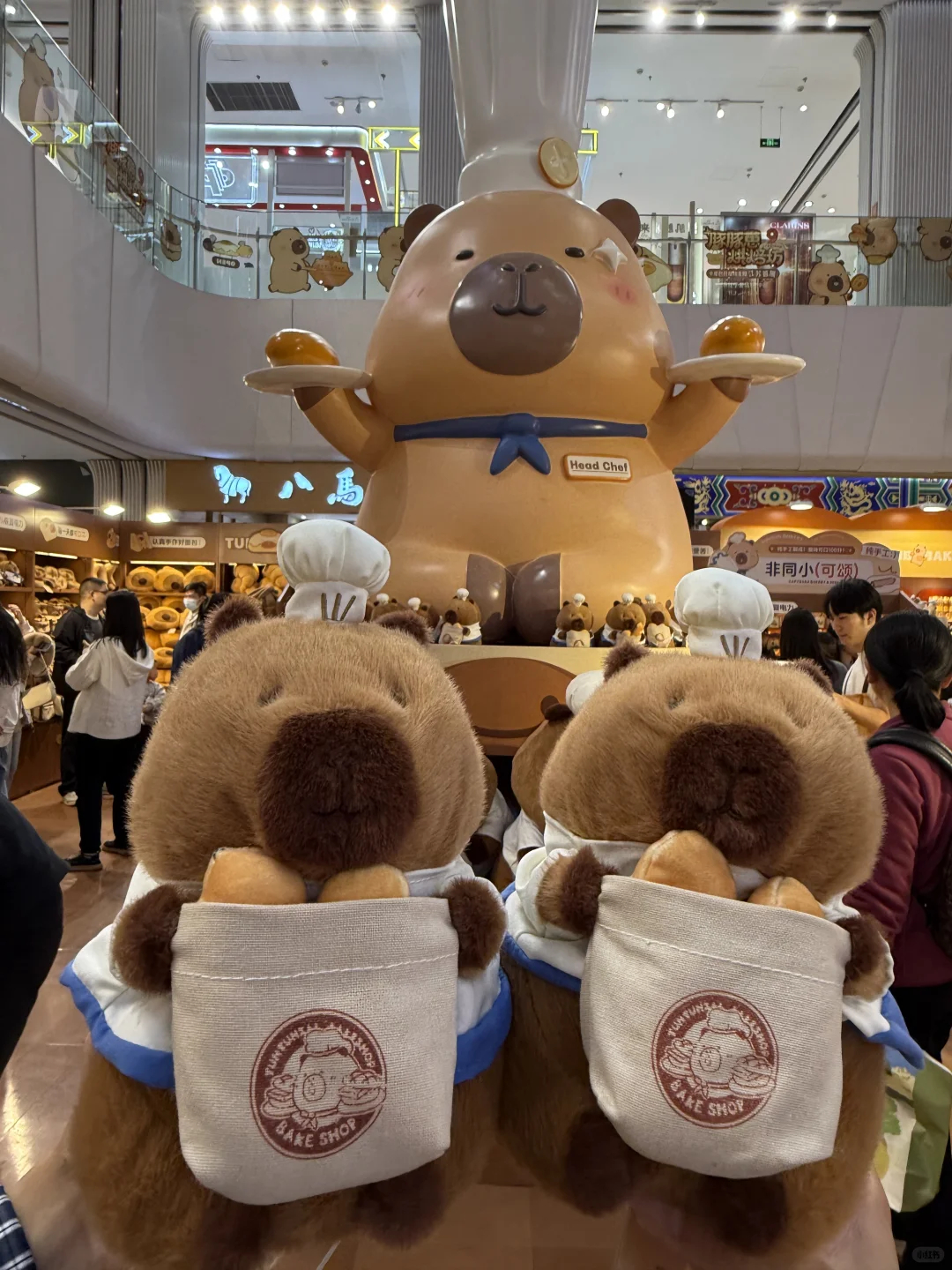 南京人民都接到通知了吗？？？