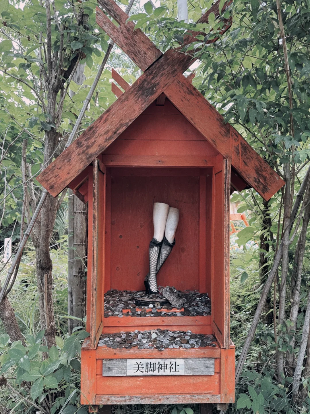 伊豆猎奇博览会系列?