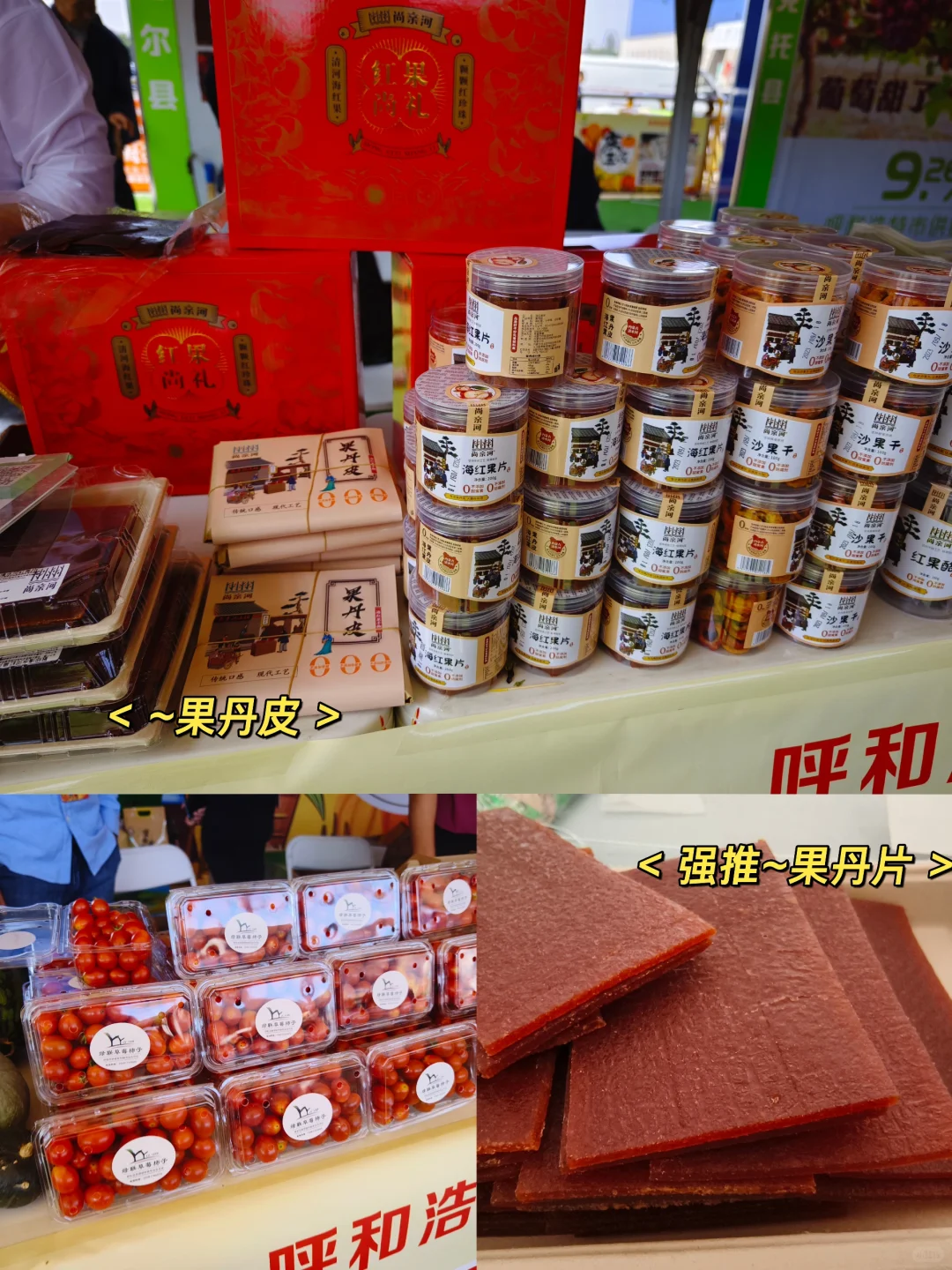 大声安利全世界‼️都来呼市这个宝藏展会