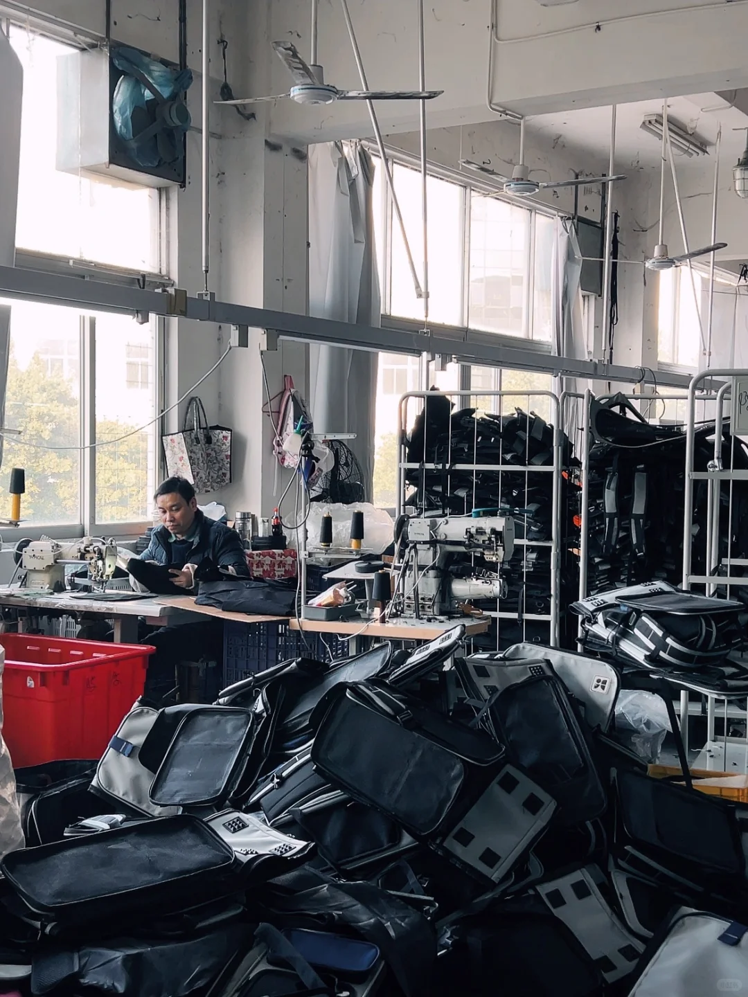 随机掉落1️⃣张亚宠门票?宠物源头工厂来啦