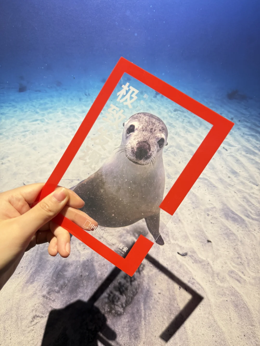 那些我没去过的地方，中国国家地理替我去了✨