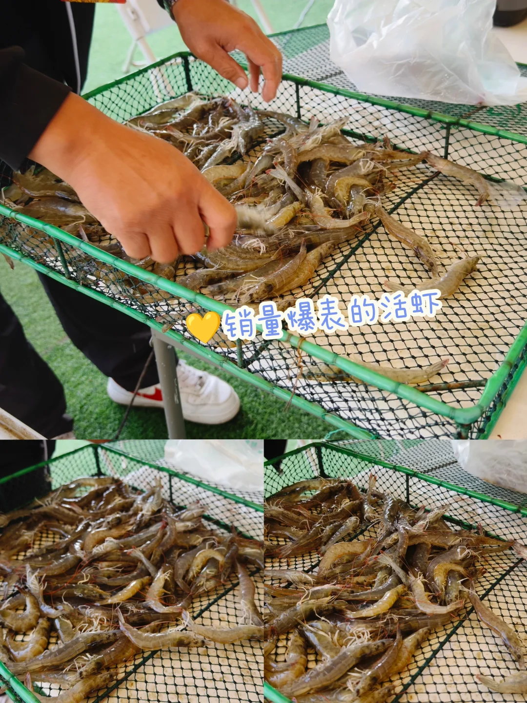 大声安利全世界‼️都来呼市这个宝藏展会