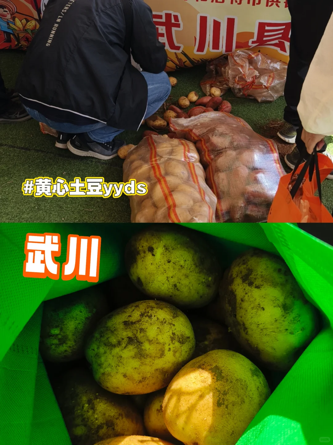 大声安利全世界‼️都来呼市这个宝藏展会