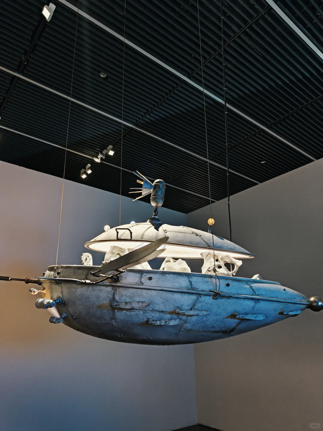 上海免费新展|必须打开live模式的宝藏展览