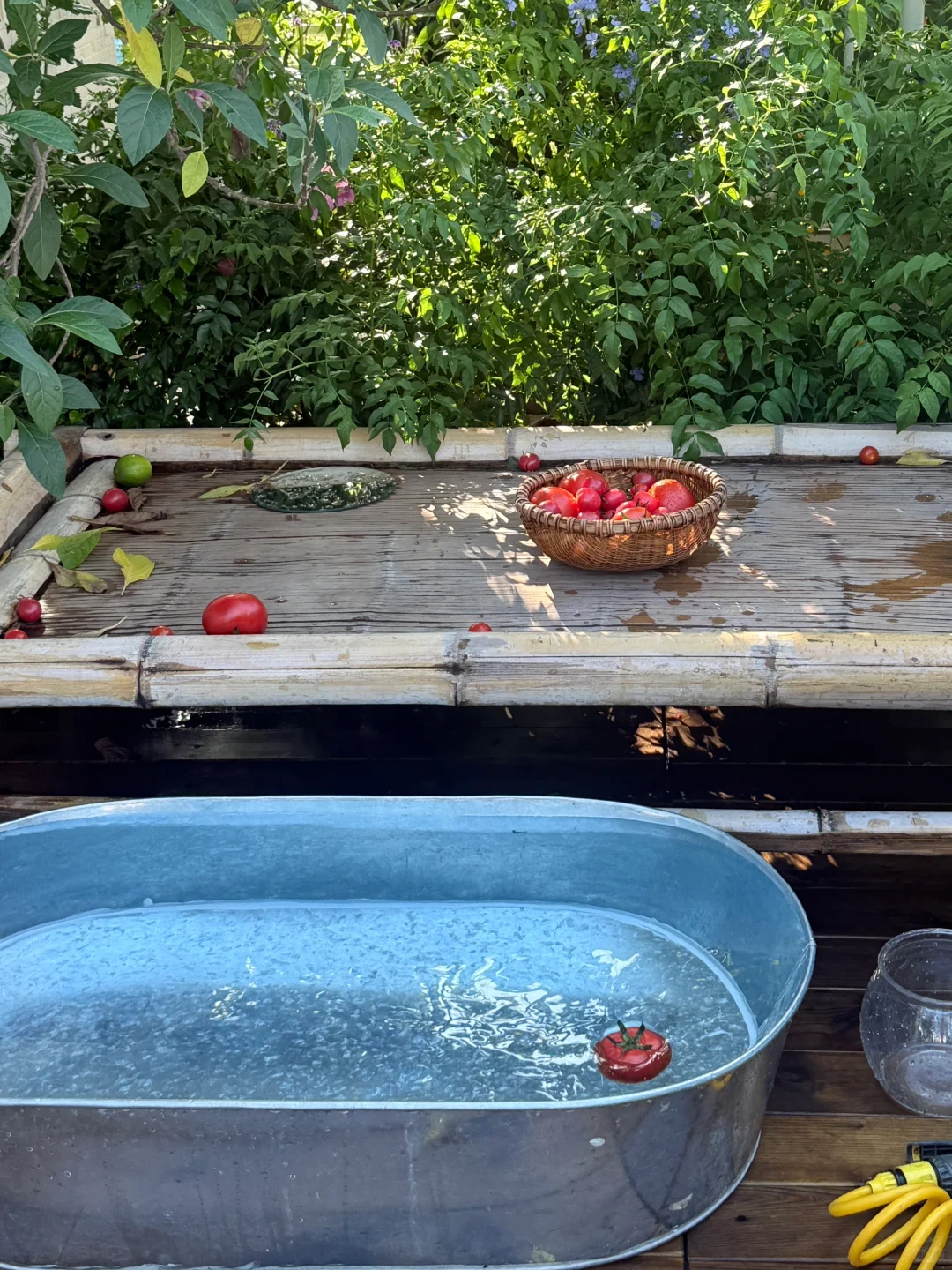 夏日◡̈ ᑋᵉᑊᑊᵒ