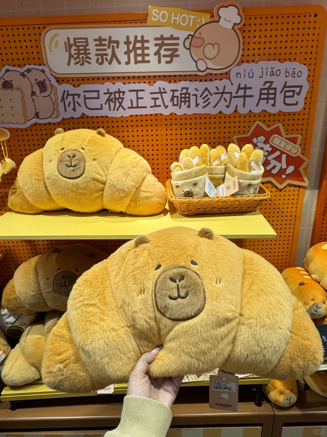 南京人民都接到通知了吗？？？