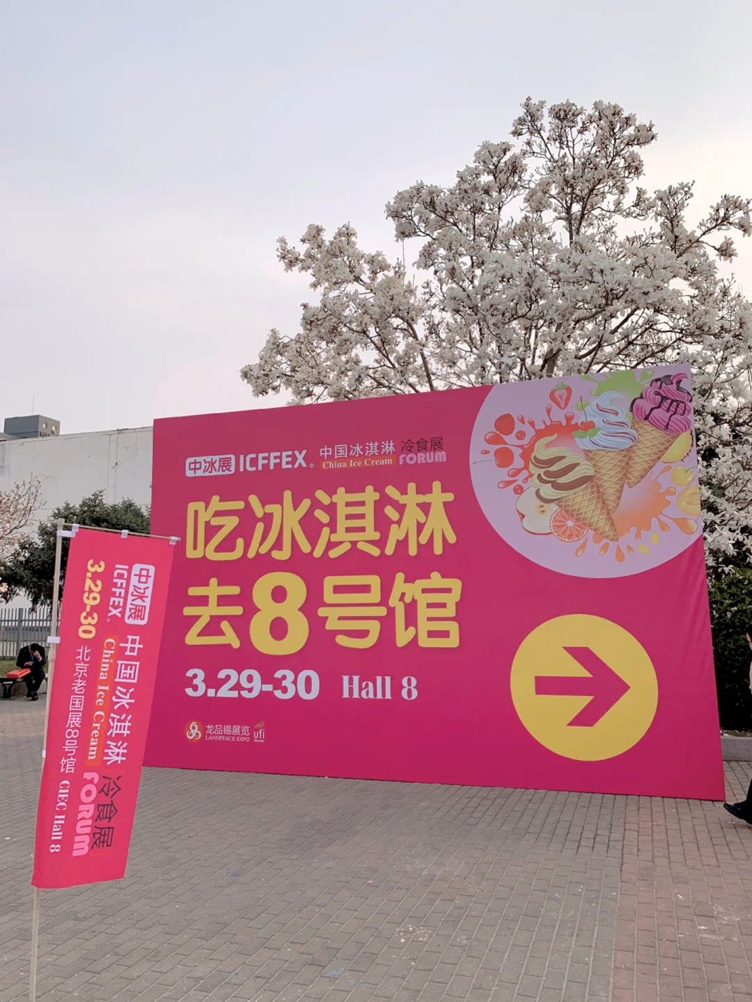 北京冰淇淋展会！！快冲！！！