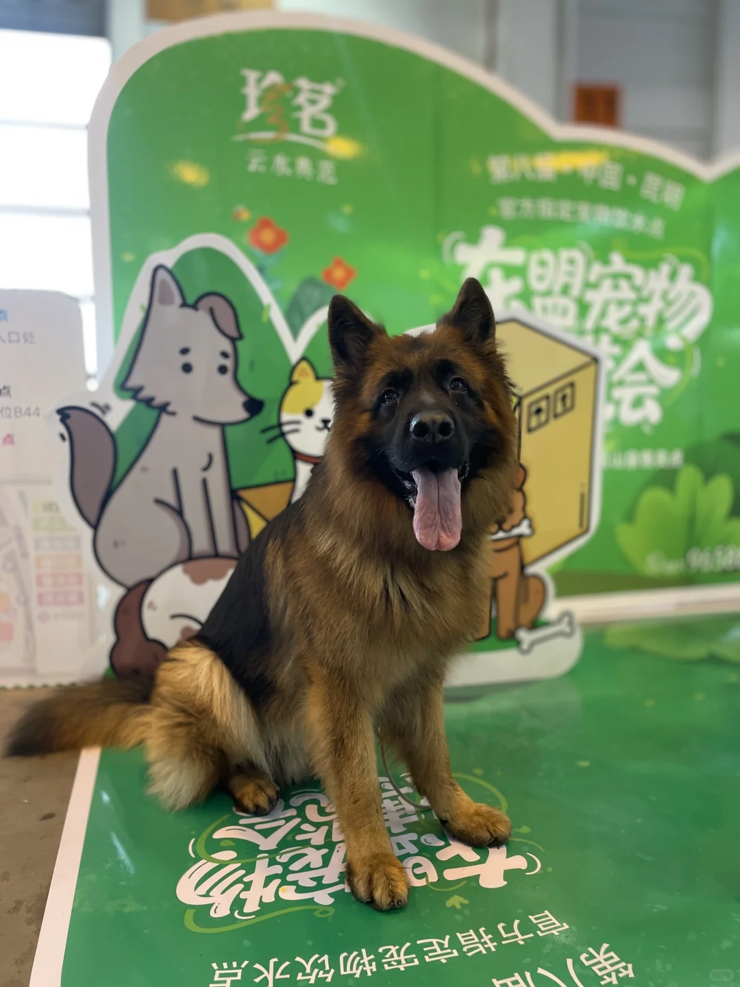 ☕️咖啡醇香?宠物超萌，简直不要太好逛啦！