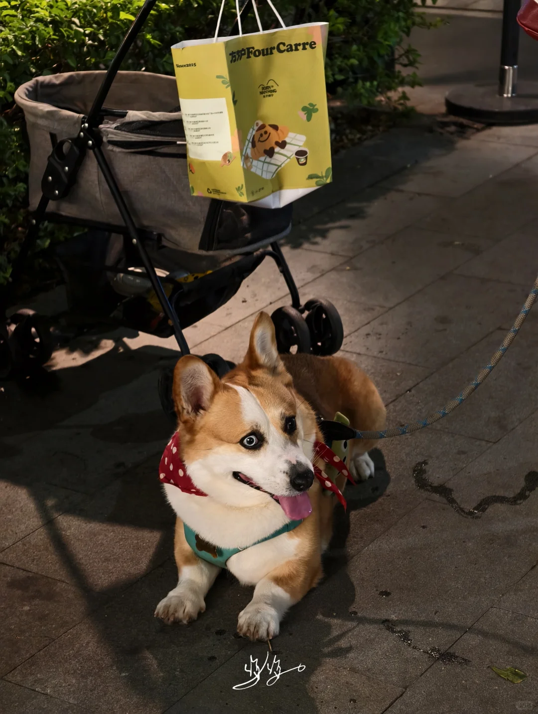 0元街区市集✨南宁咖啡节猎奇攻略❗️