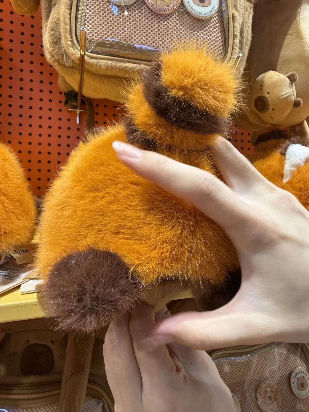 南京人民都接到通知了吗？？？