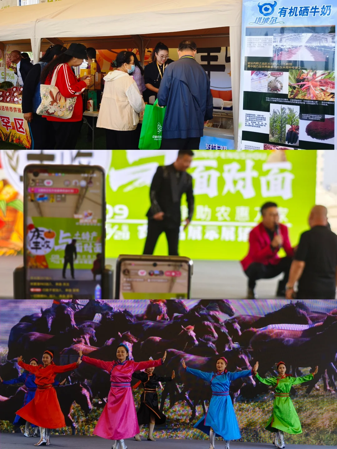 大声安利全世界‼️都来呼市这个宝藏展会