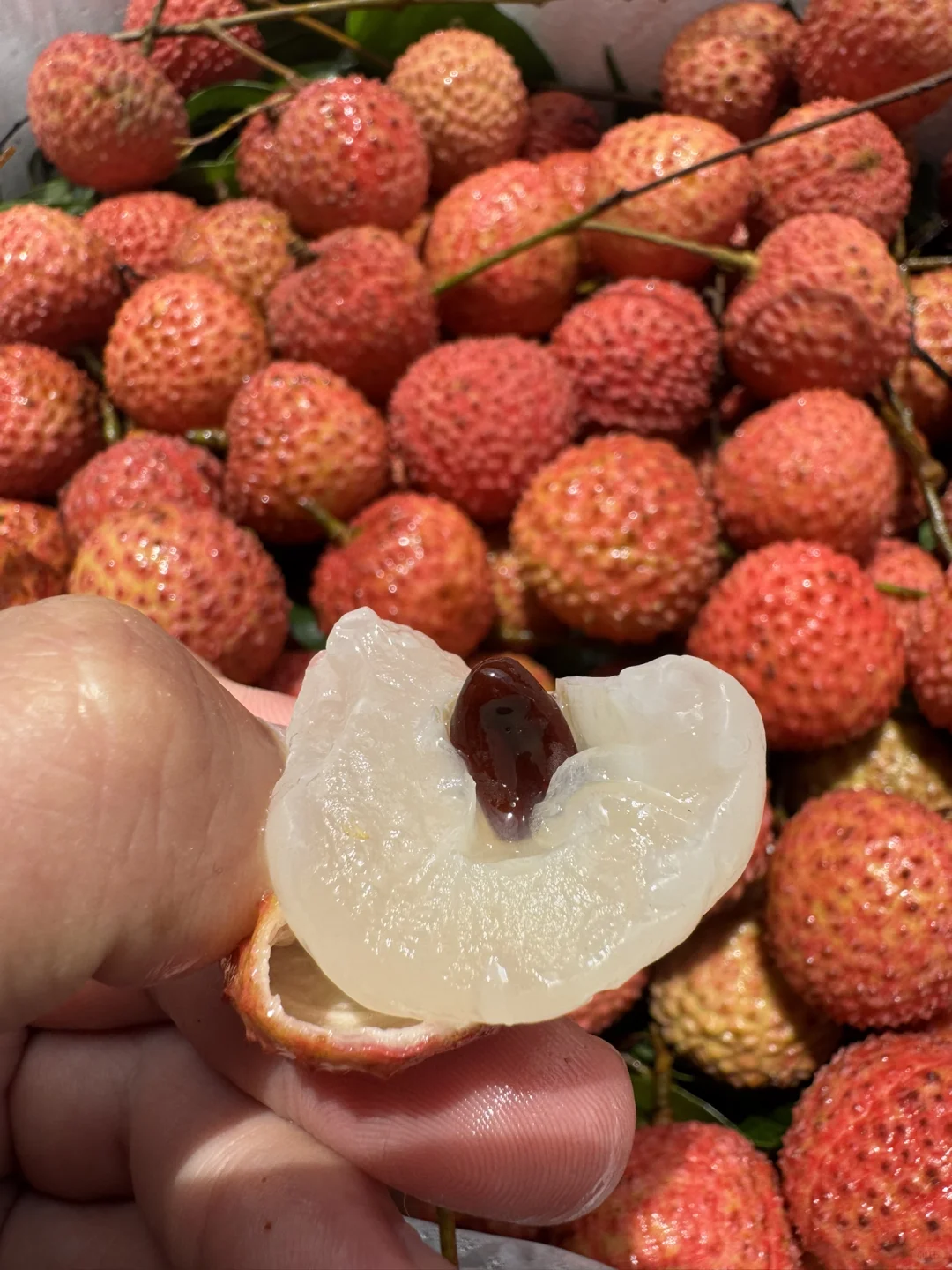 社区团购团长招募