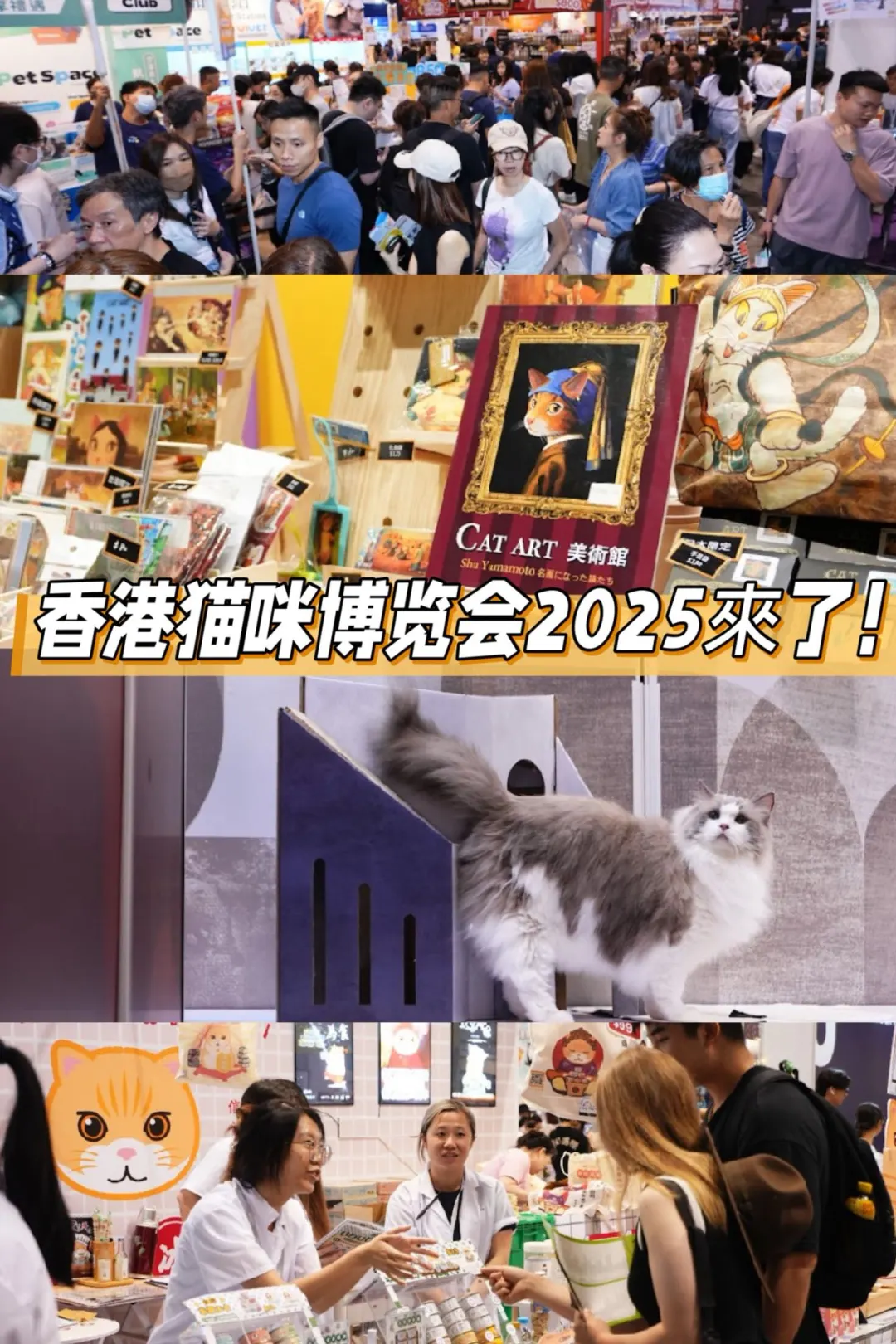 ??吸猫人士别错过香港猫咪博览会‼