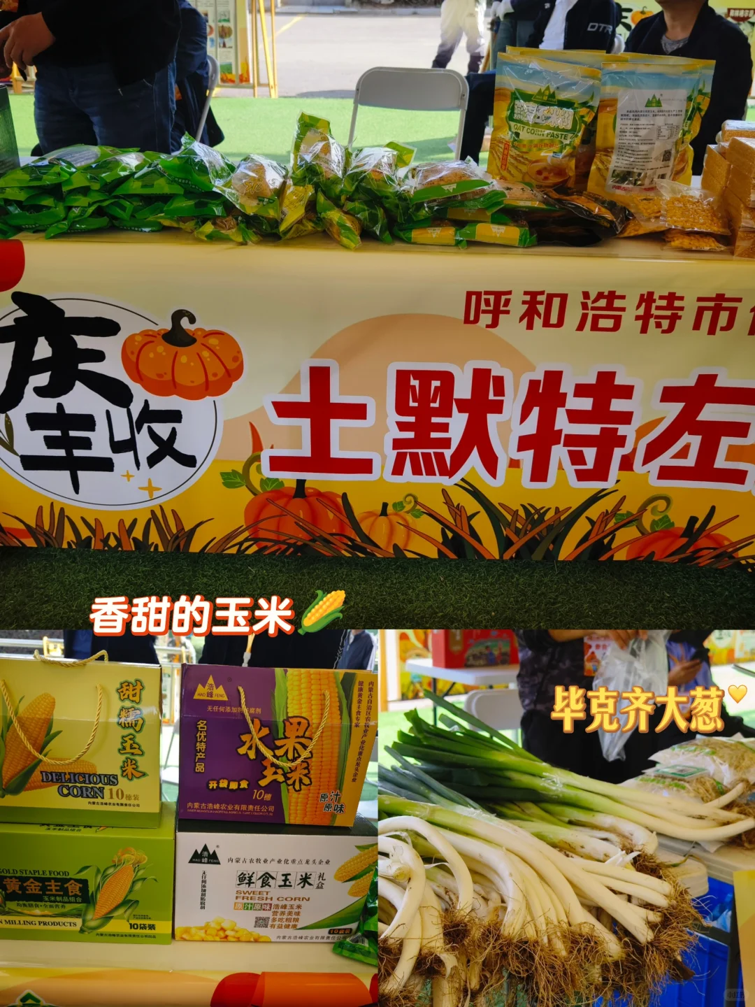 大声安利全世界‼️都来呼市这个宝藏展会