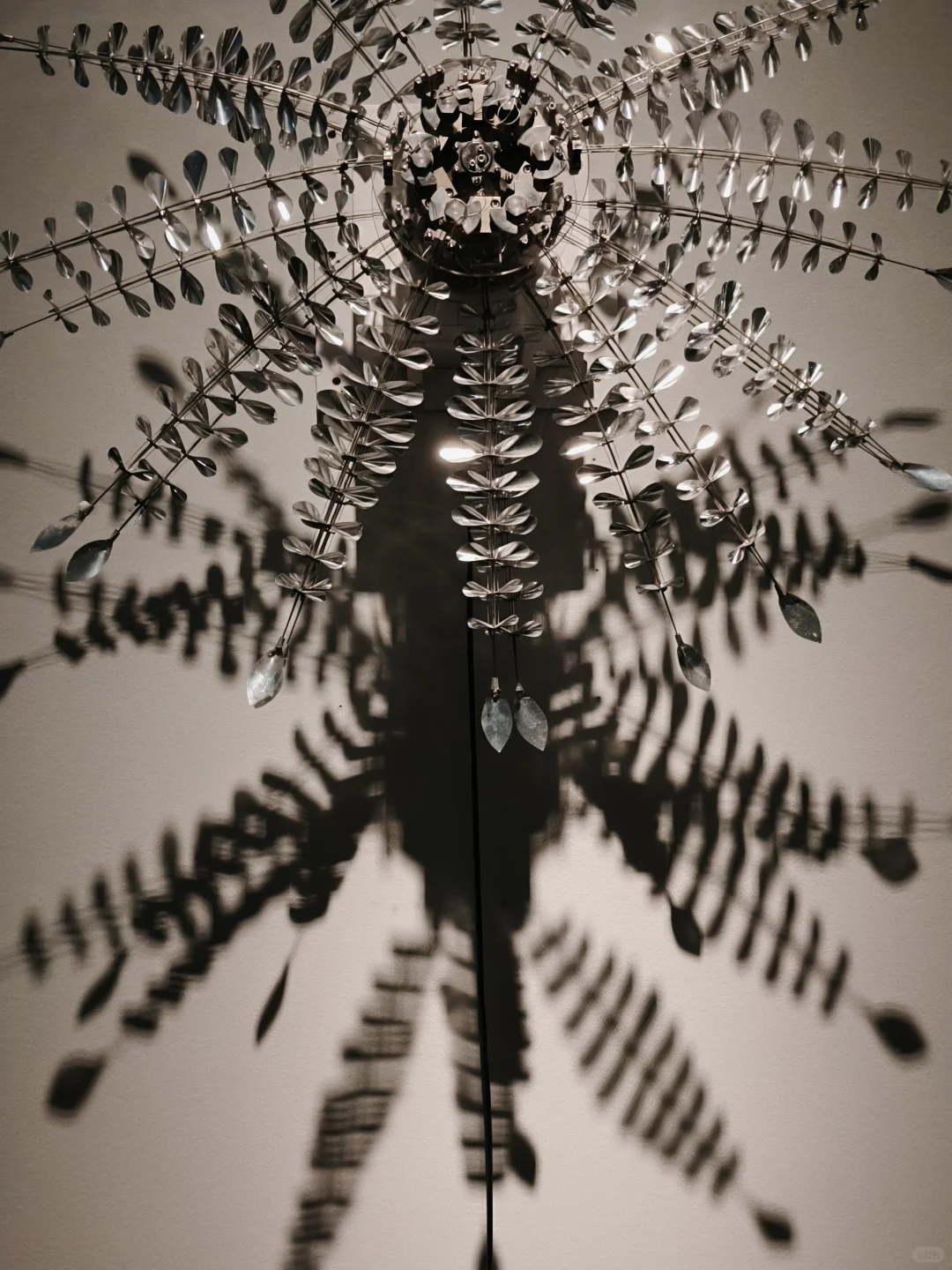 上海免费新展|必须打开live模式的宝藏展览