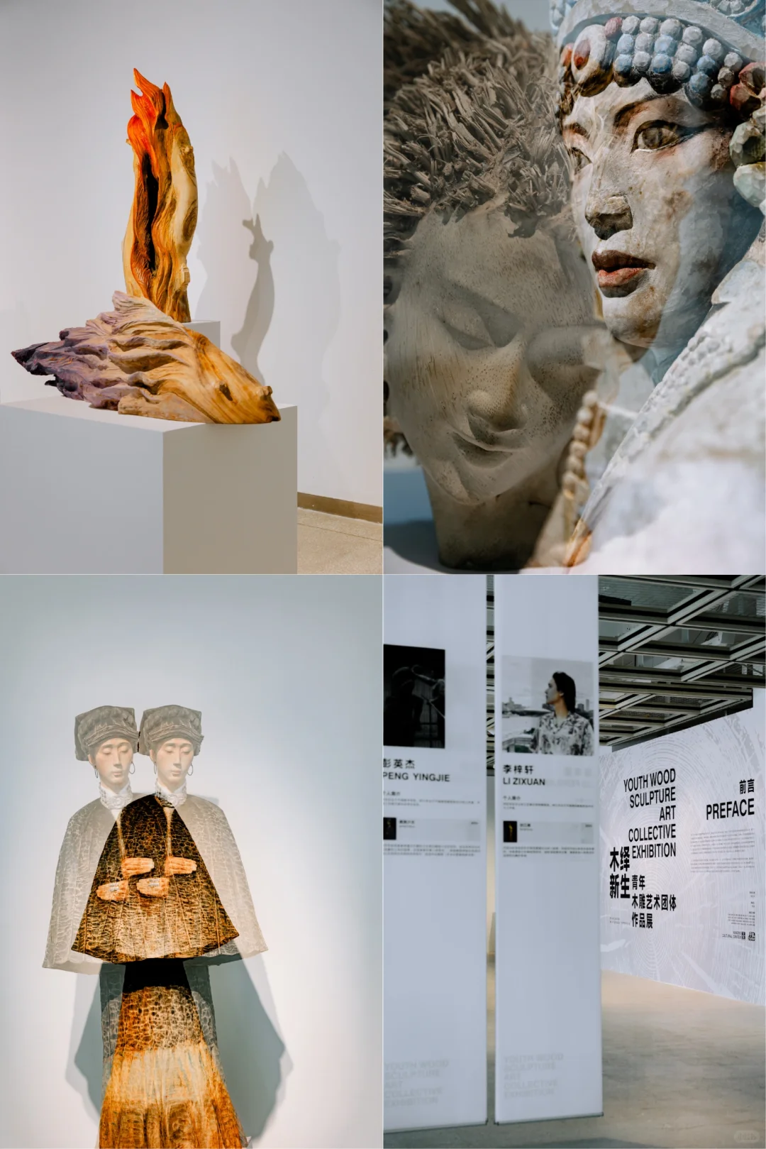 宁波文化馆有新展啦/木绎新生?2️⃣系列