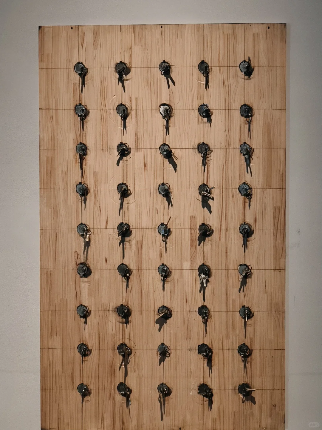 上海免费新展|必须打开live模式的宝藏展览