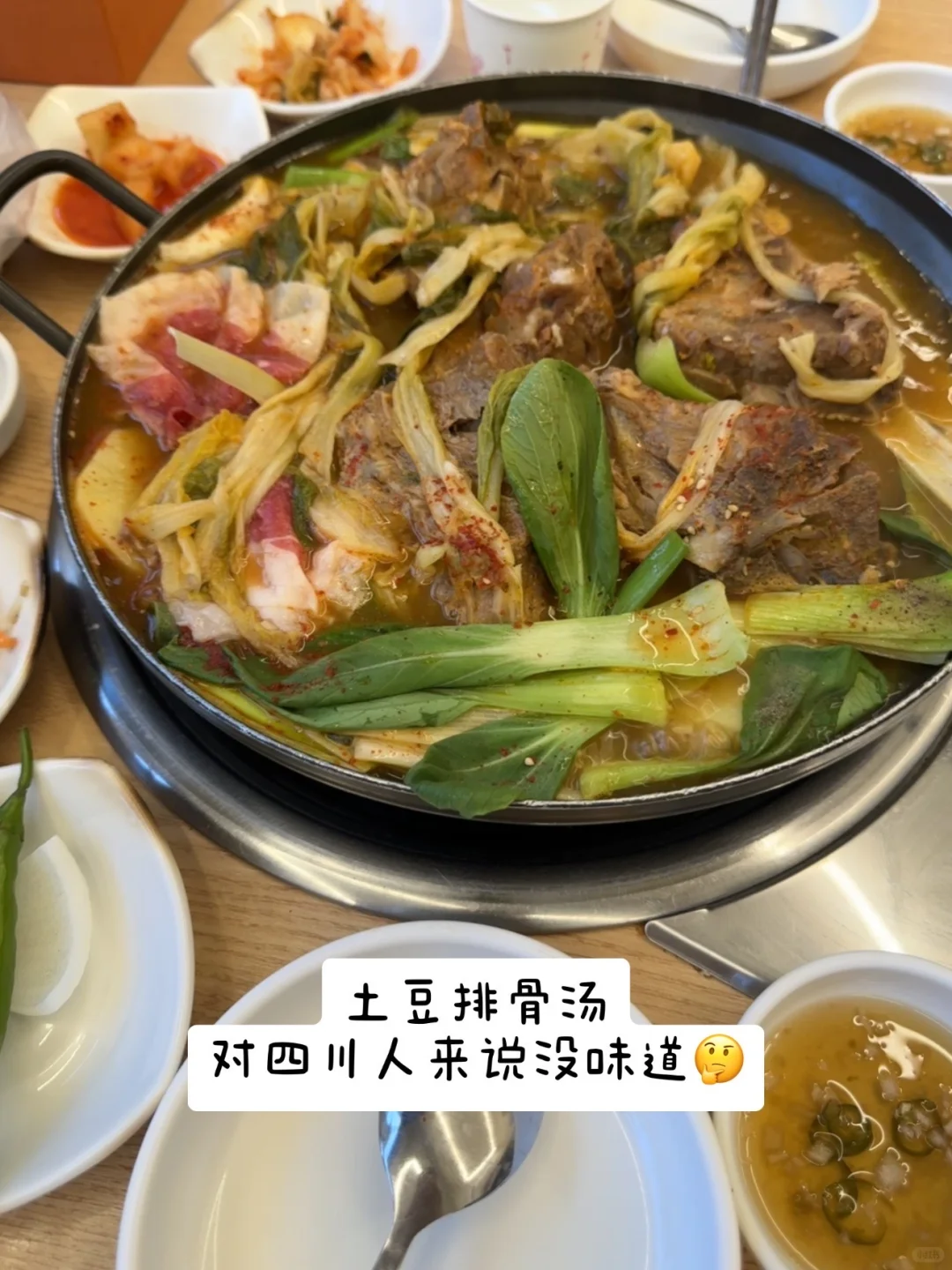 济州岛?️出片机位分享～附一些plog?