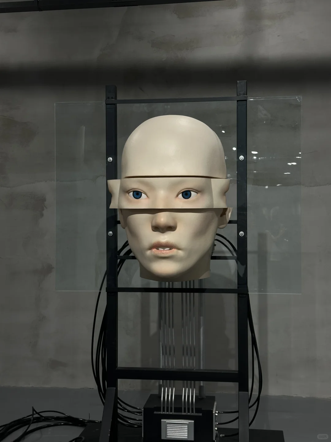 贵阳万象城巨脸展，科幻浪潮来袭