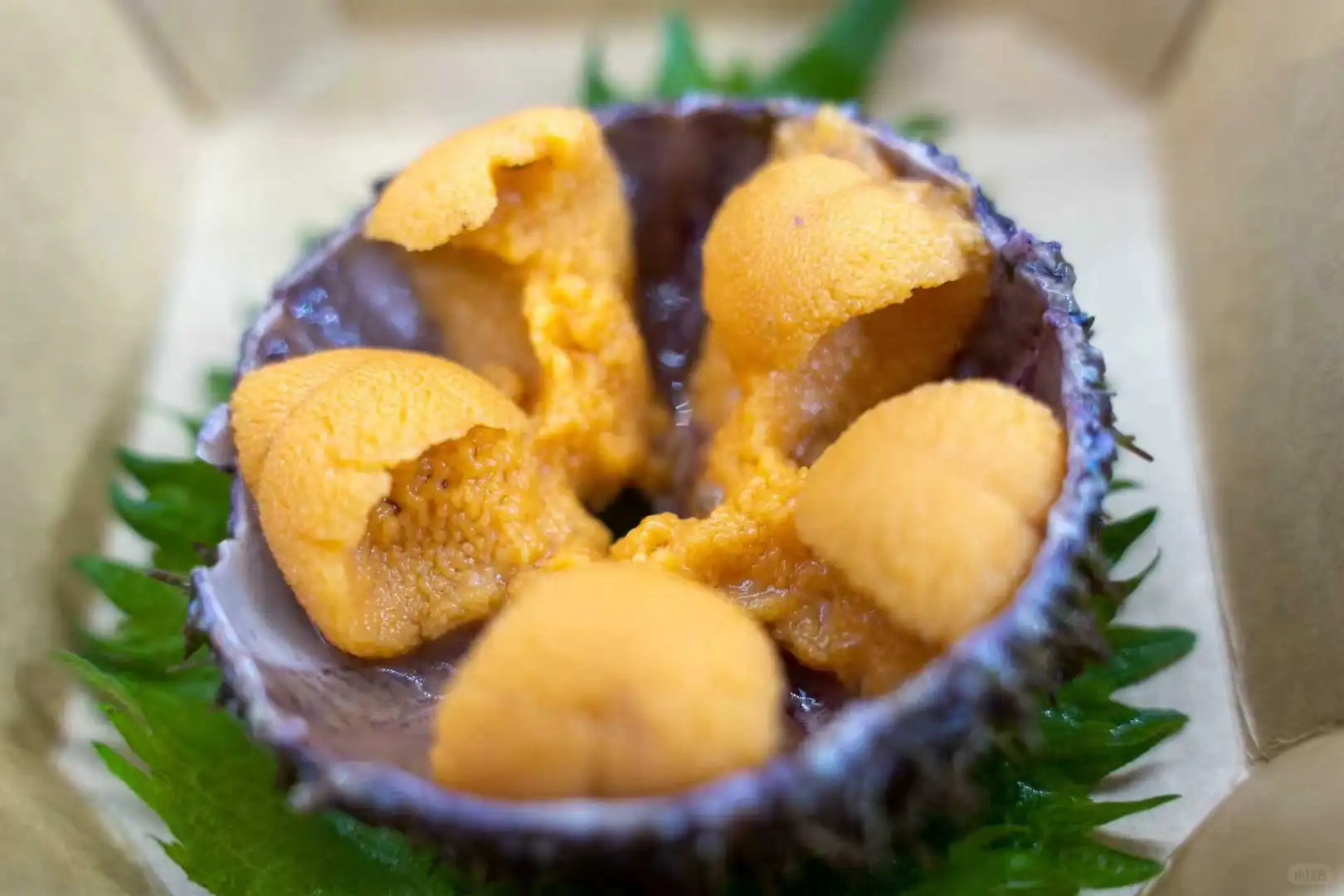 智利水产养殖及渔业展览会AQUASUR