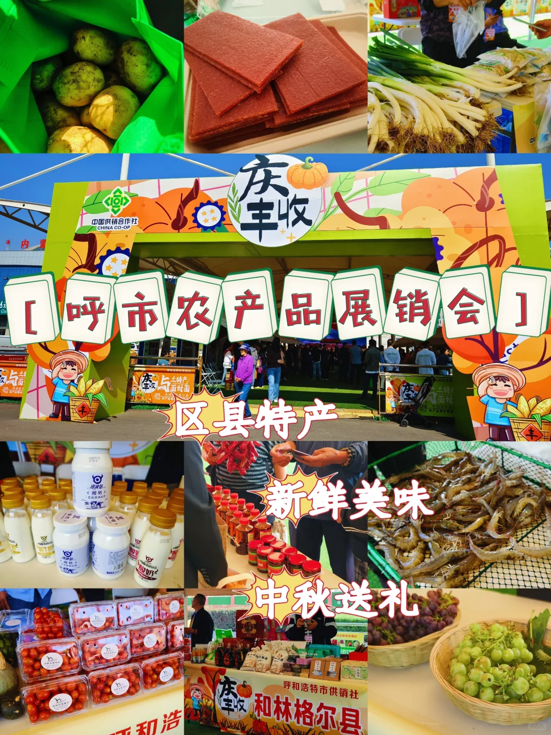 大声安利全世界‼️都来呼市这个宝藏展会