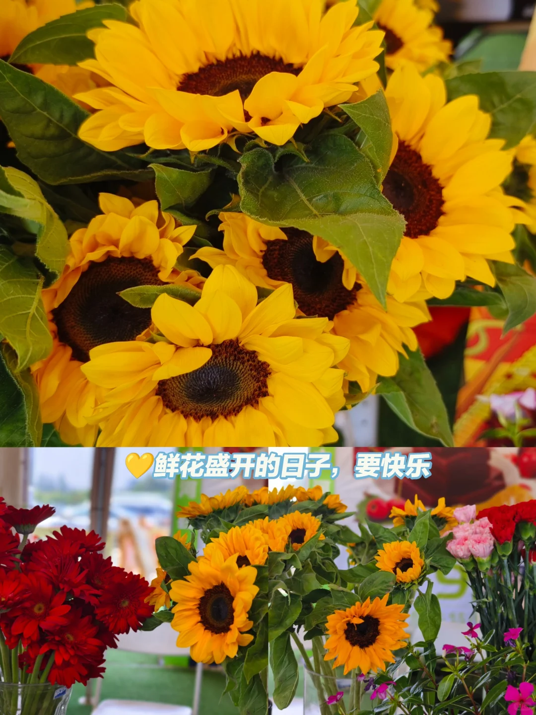 大声安利全世界‼️都来呼市这个宝藏展会