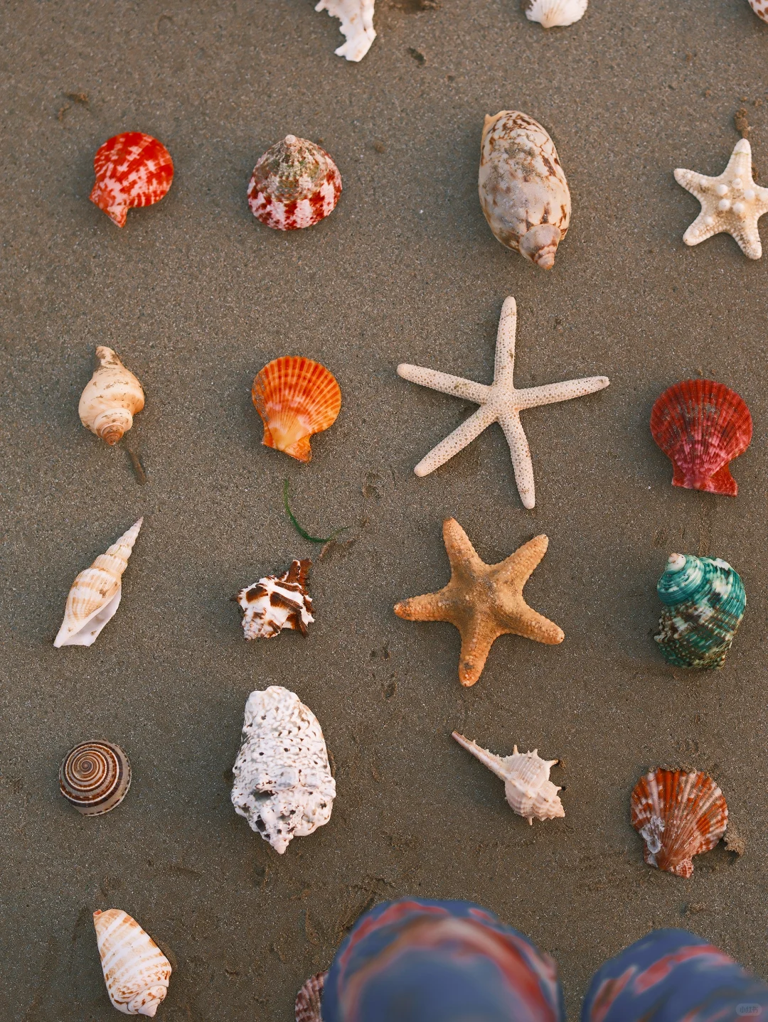 海边拍照 电影感氛围 ｜漫步蓝调时刻?️