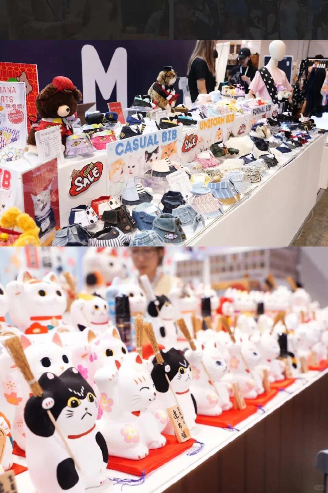 ??吸猫人士别错过香港猫咪博览会‼