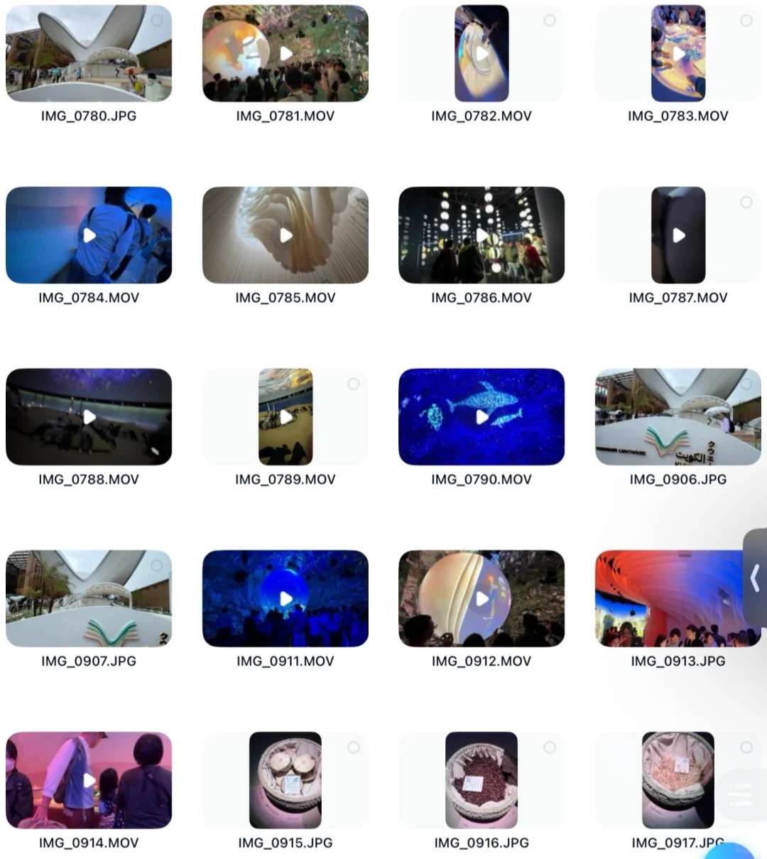 （还）没去大阪世博会的朋友们看过来