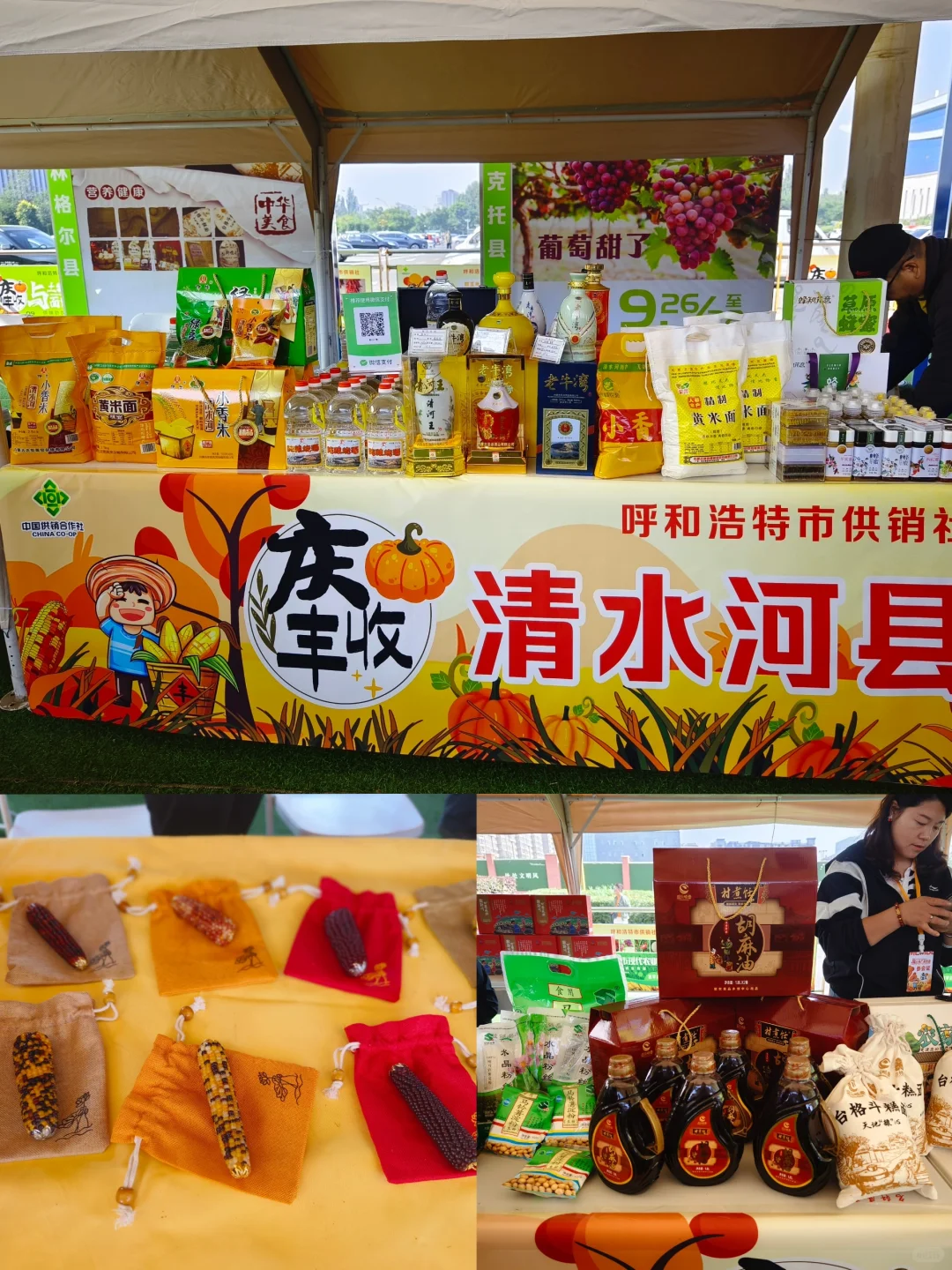 大声安利全世界‼️都来呼市这个宝藏展会