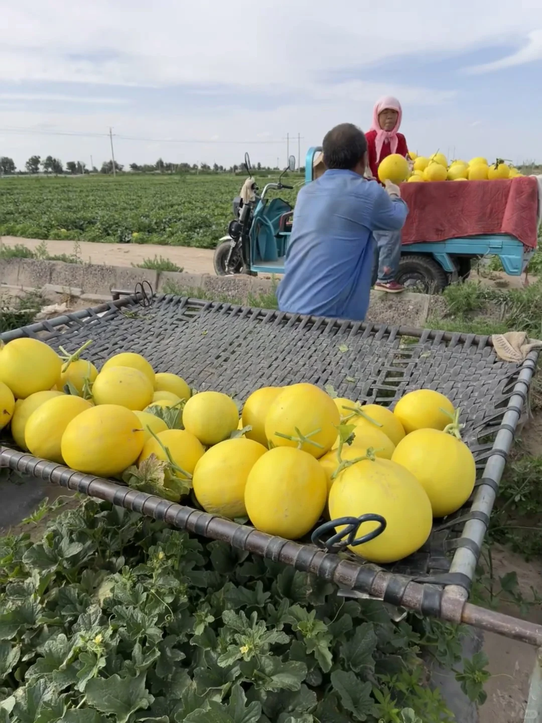 后来我才明白，一代人有一代人的牢笼！