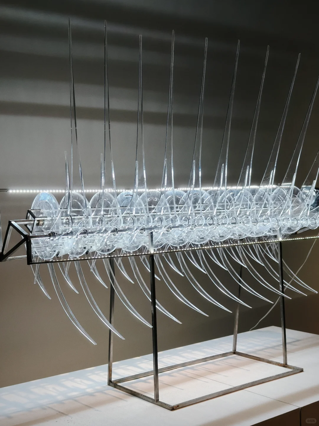 上海免费新展|必须打开live模式的宝藏展览