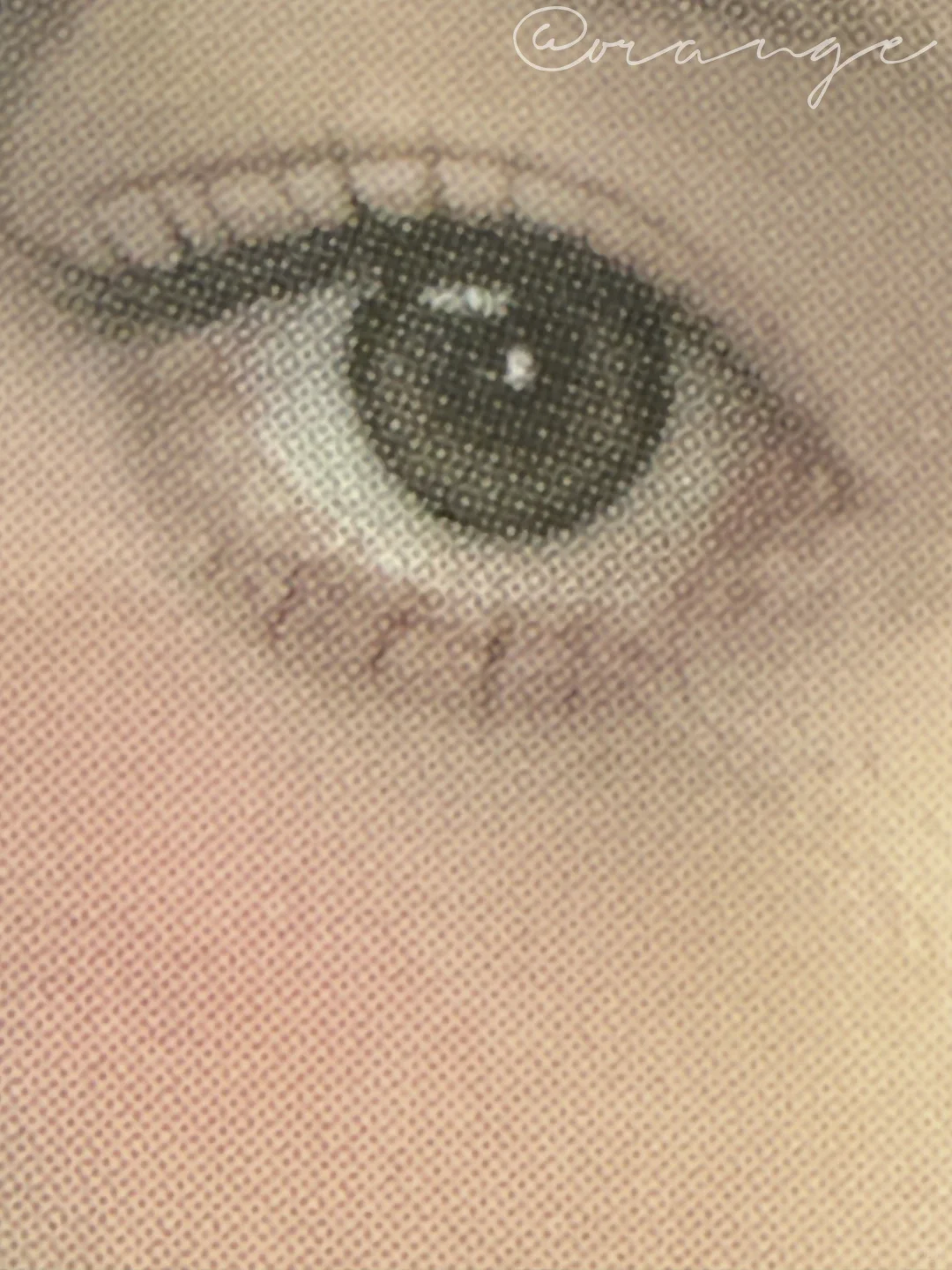 台北展会贤鉴别帖