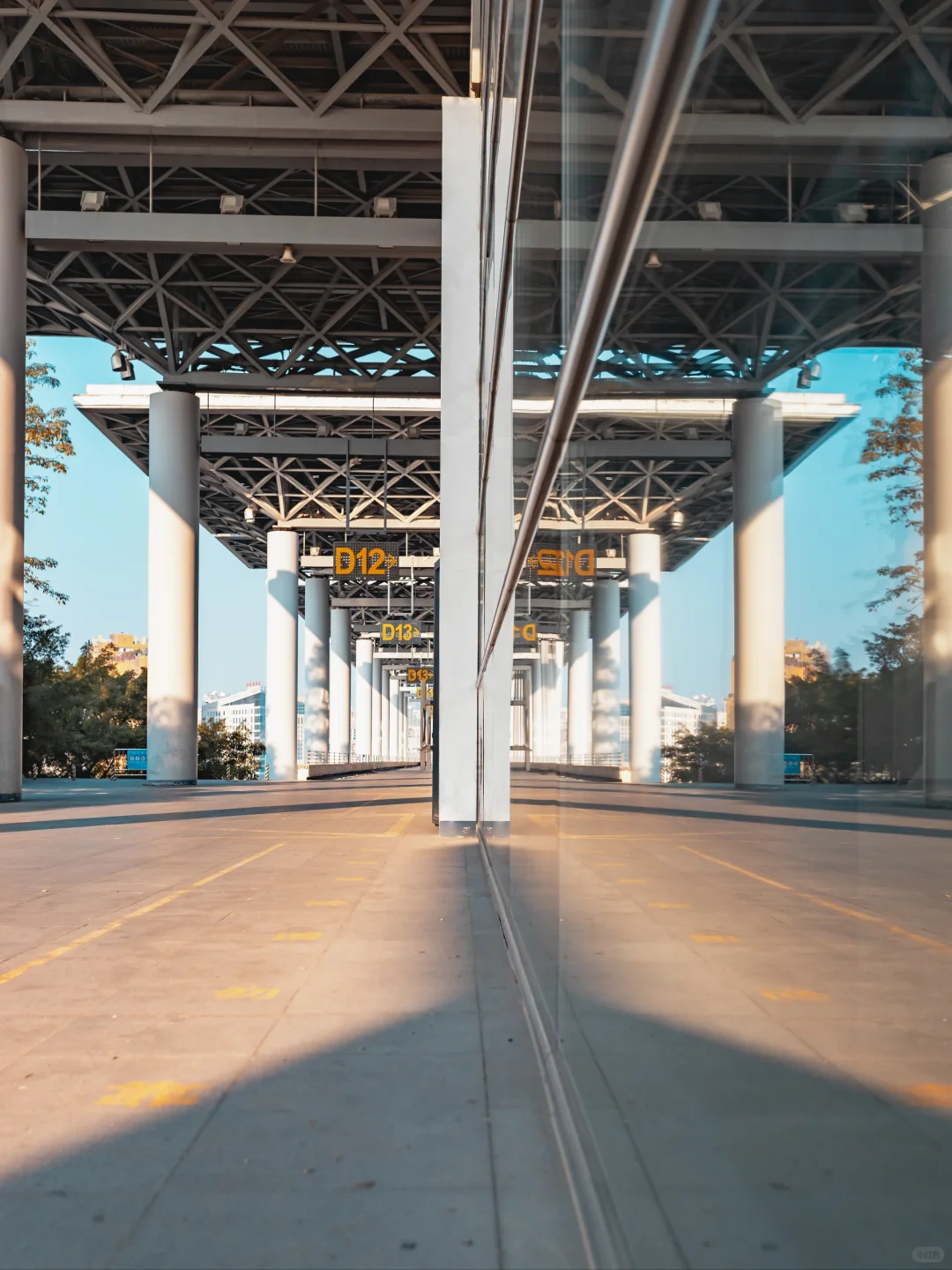 （21/100）久违的阳光，这里是会展中心?