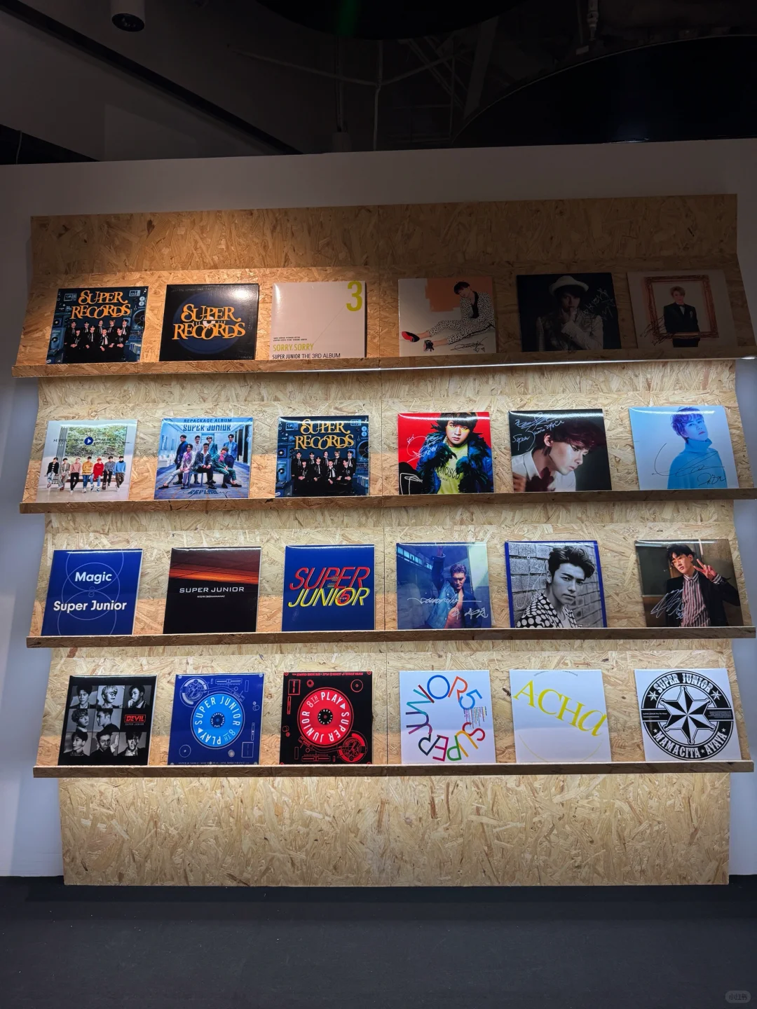 好玩好拍又好玩的SJ二十周年展?