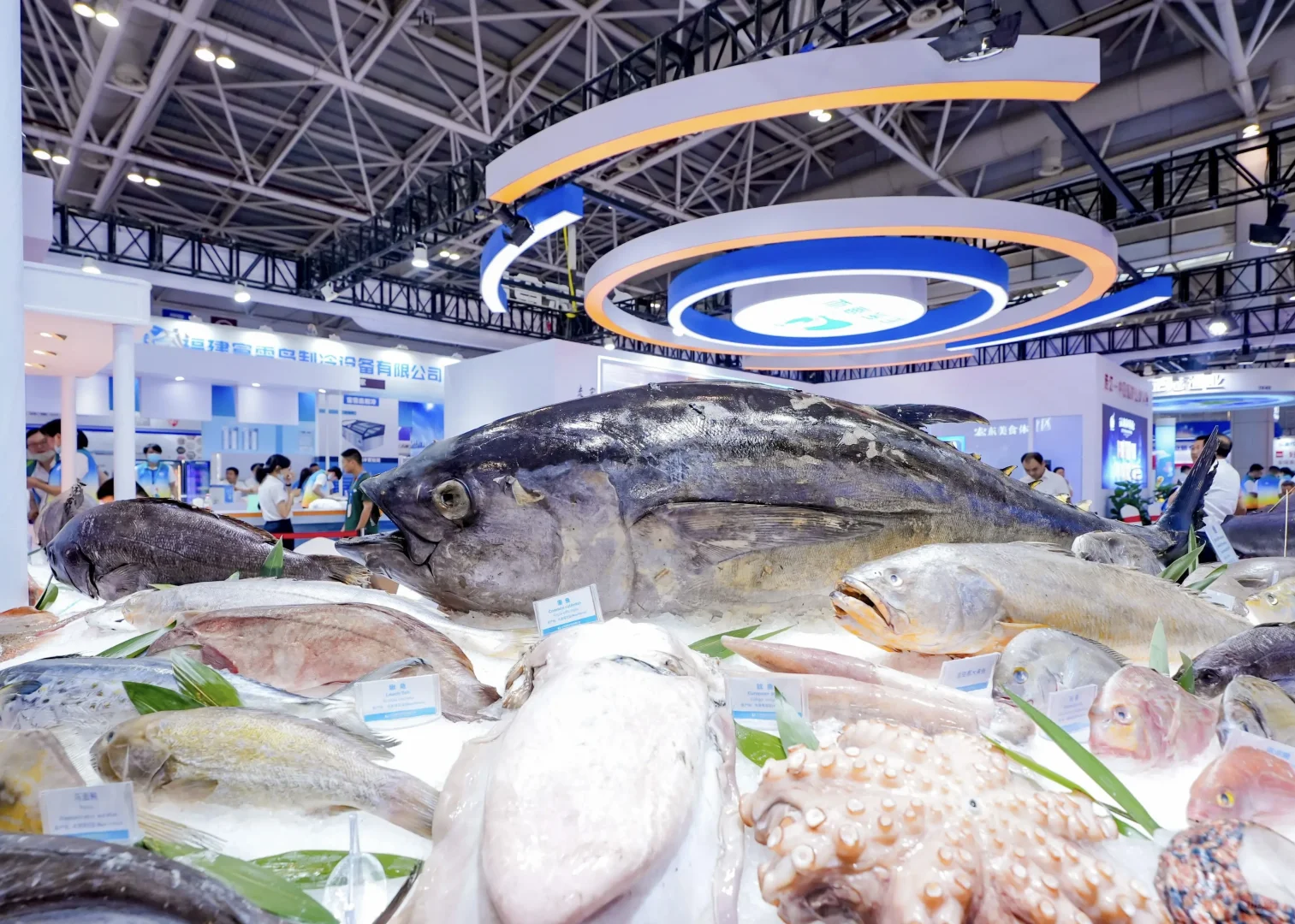 智利水产养殖及渔业展览会AQUASUR